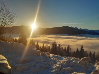 Kohlegghof Aparthotel Schwemmberg Bagian luar foto